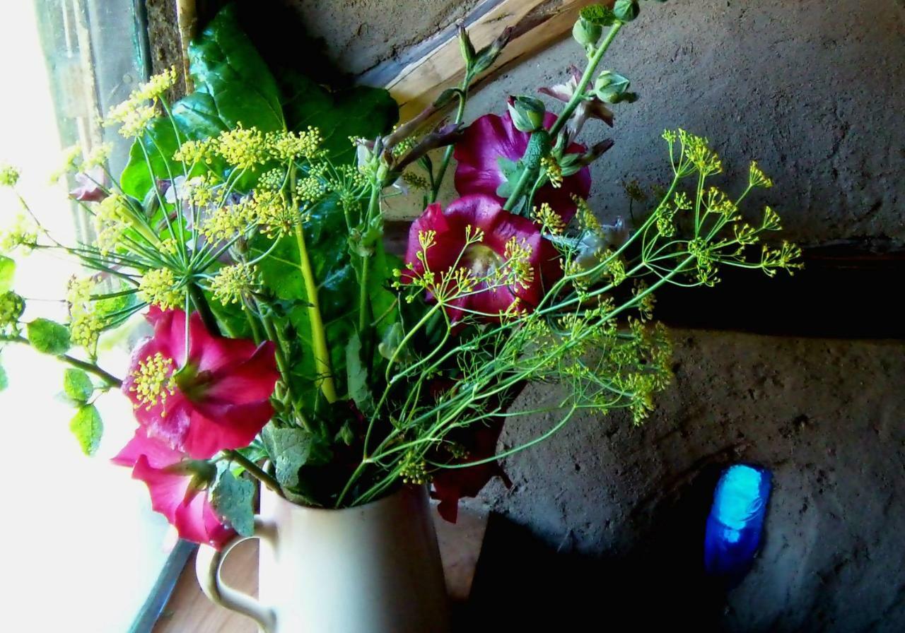 Claudon La Clairiere Du Verbamont מראה חיצוני תמונה