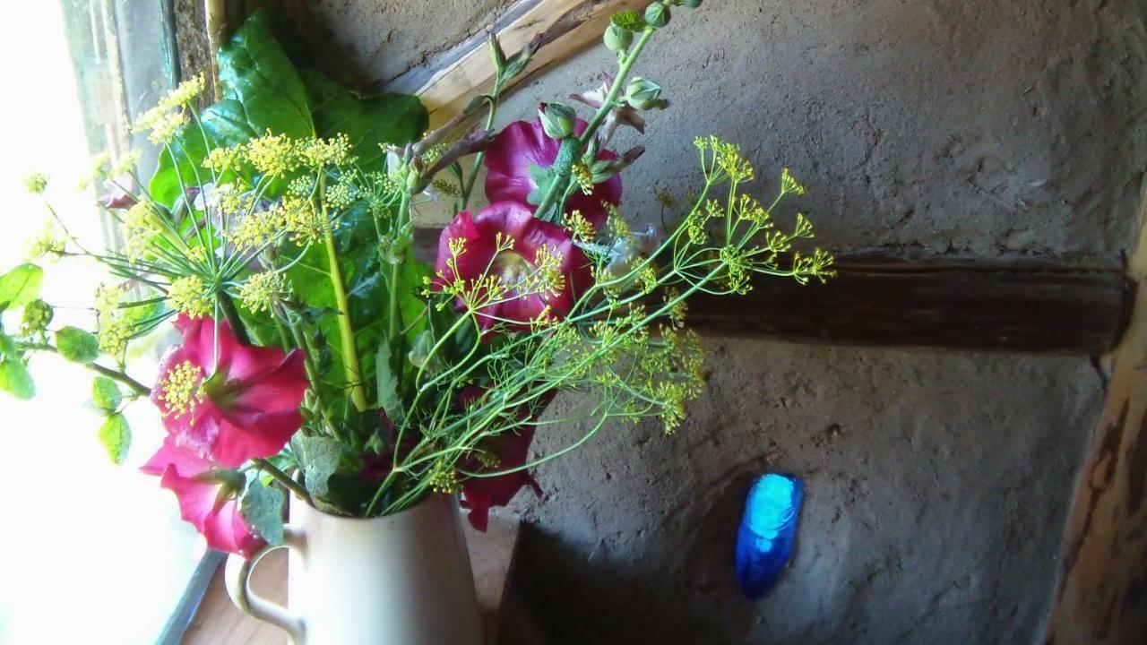 Claudon La Clairiere Du Verbamont מראה חיצוני תמונה